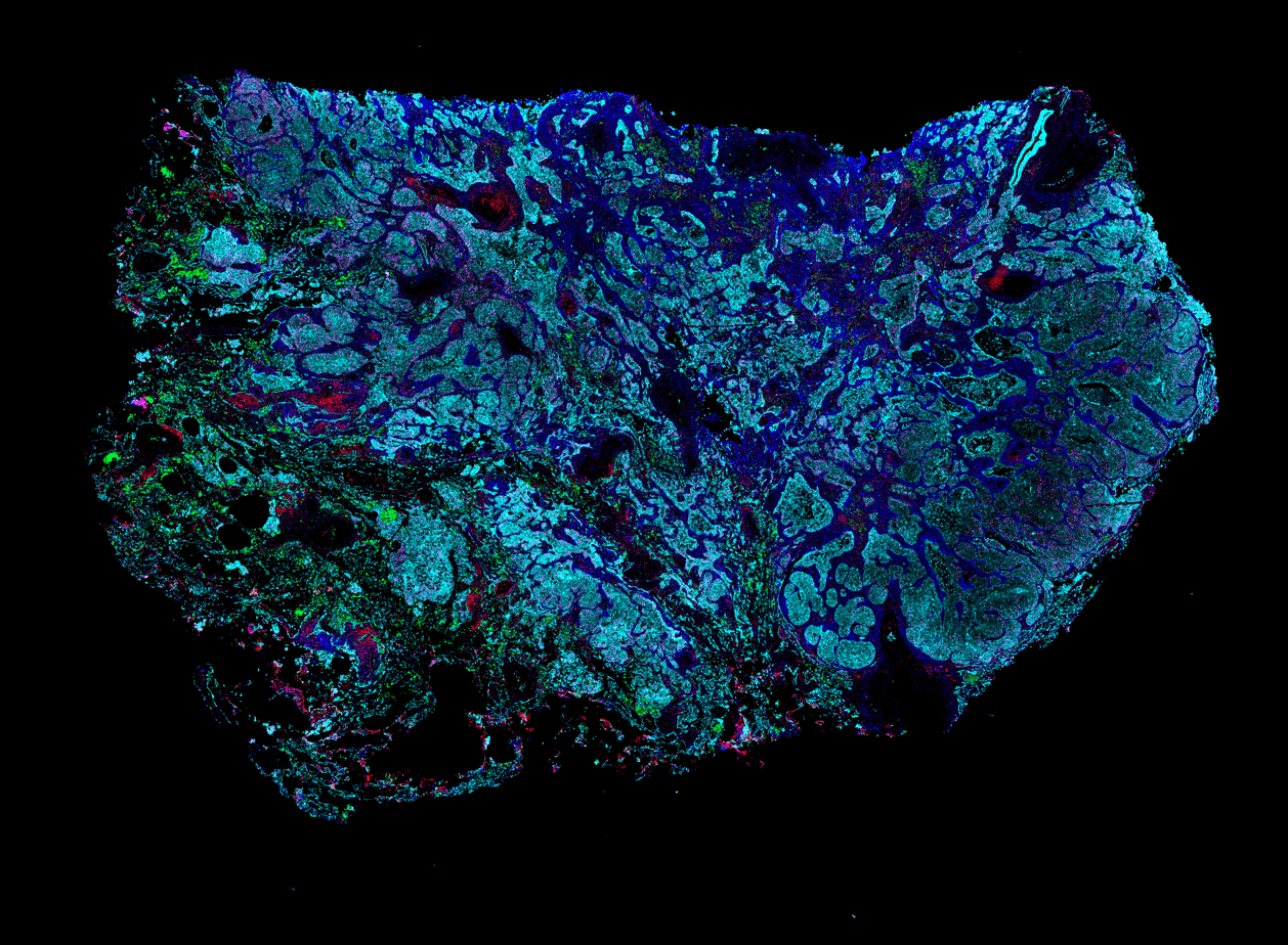 Full spectrum spatial context