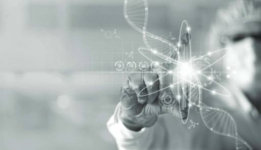 Pan-tumor HER2 white paper