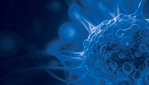 Multi-modality testing of EGFR white paper