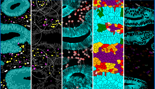 Paletrra white paper